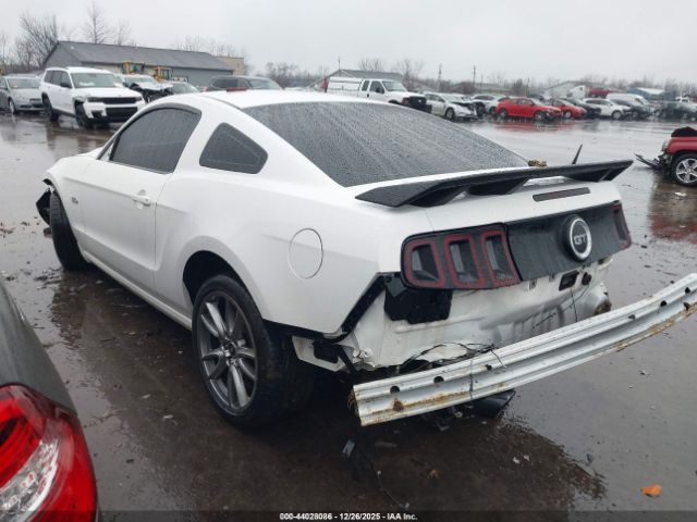 2013 FORD MUSTANG 1ZVBP8CF4D5206687 Photo 2