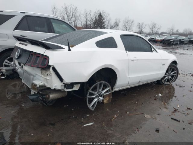 2013 FORD MUSTANG 1ZVBP8CF4D5206687 Photo 3