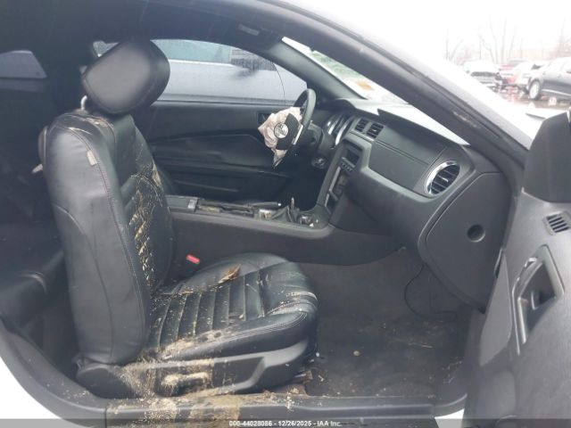 2013 FORD MUSTANG 1ZVBP8CF4D5206687 Photo 4