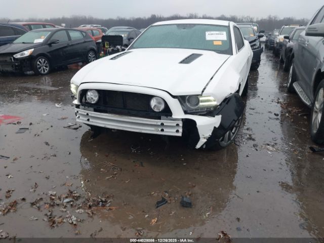 2013 FORD MUSTANG 1ZVBP8CF4D5206687 Photo 5