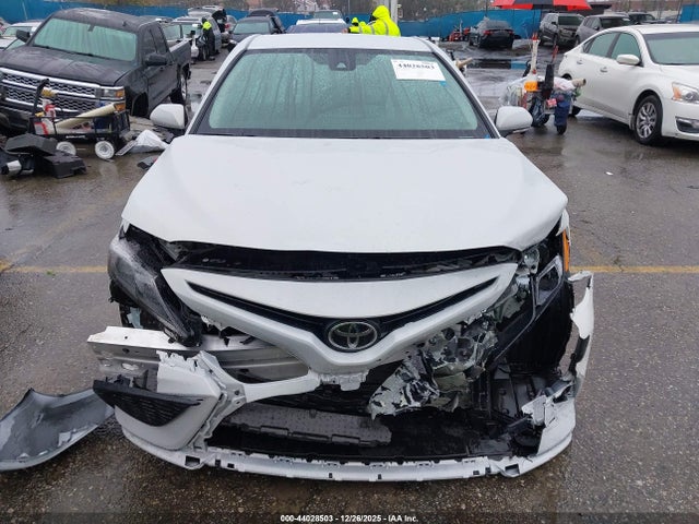 4T1T11AK4RU231677 Toyota CAMRY SE