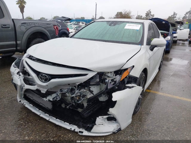 4T1T11AK4RU231677 Toyota CAMRY SE