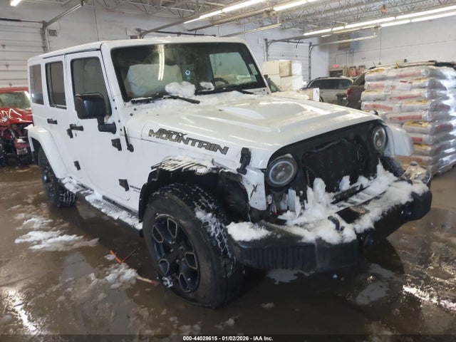 2017 JEEP WRANGLER UNLIMITED 1C4BJWEG0HL637561