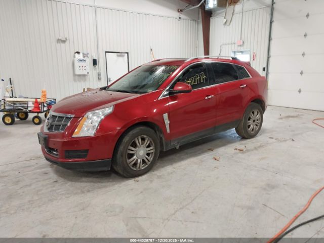 2011 CADILLAC SRX 3GYFNDEY8BS525511 Photo 1
