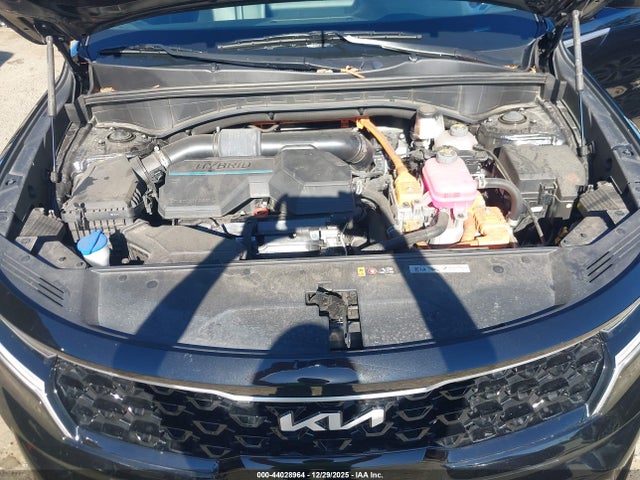 KNDRHDLG0P5202480 KIA Sorento Hybrid Ex