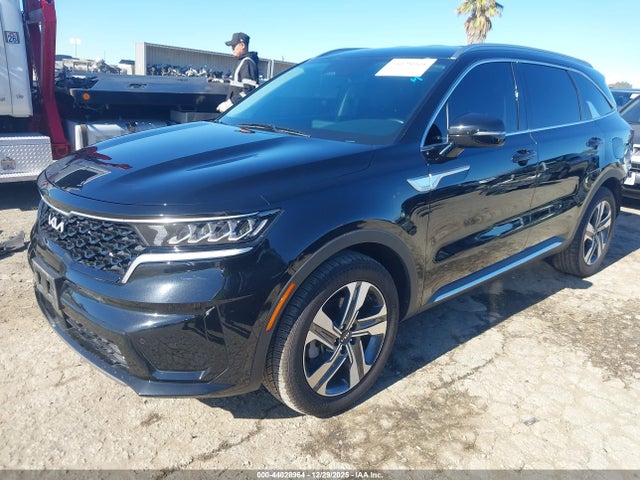 KNDRHDLG0P5202480 KIA Sorento Hybrid Ex