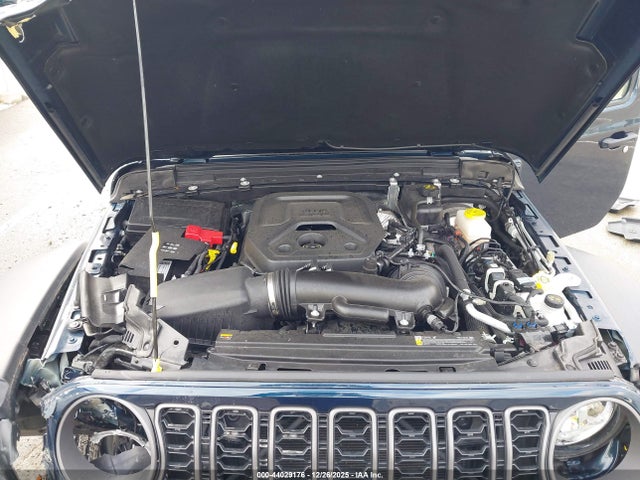 2025 JEEP WRANGLER 1C4PJXDN3SW539237 Photo 9