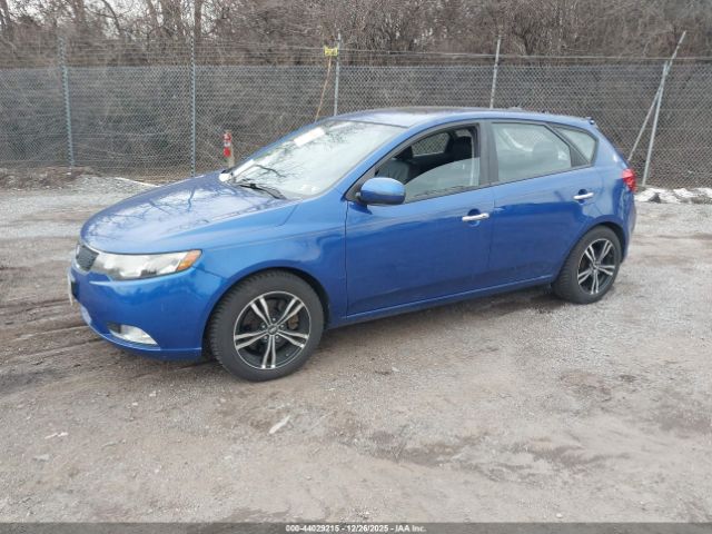 2013 KIA FORTE KNAFW5A37D5692942 Photo 1