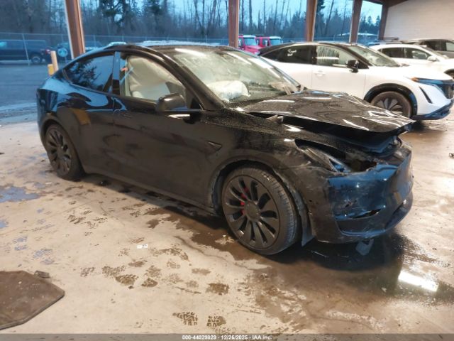 2022 TESLA MODEL Y 7SAYGDEF5NF544489