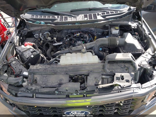 1FTEW2KP3RKF55469 Ford F-150 Stx
