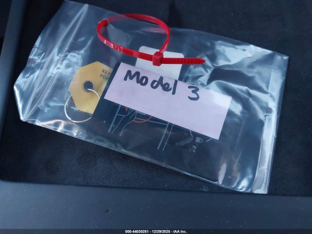 2025 TESLA MODEL 3 5YJ3E1EB9SF968617 Photo 10