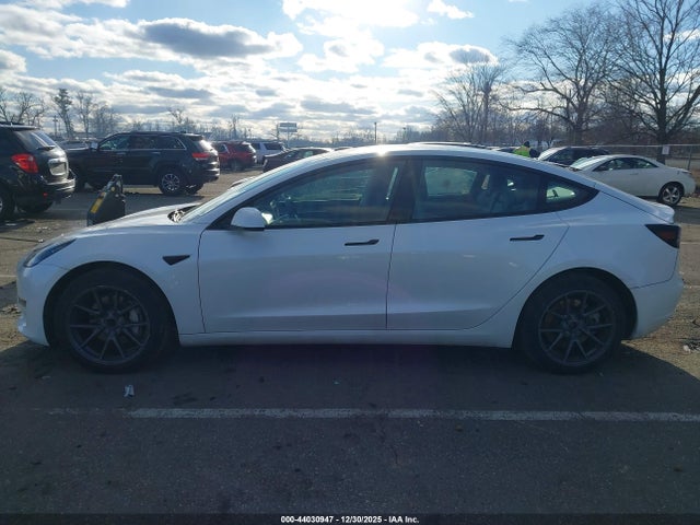 Продажа на аукционе авто 2023 Tesla Model 3 Rear-wheel Drive, vin: 5YJ3E1EA9PF559662, номер лота: 44030947