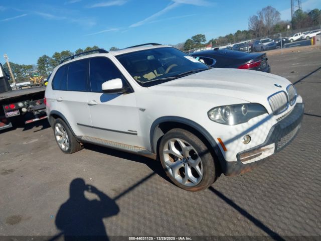 2009 BMW X5 5UXFE83599L171230