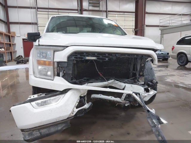 1FTFX1E54MFA51875 Ford F-150 Xl