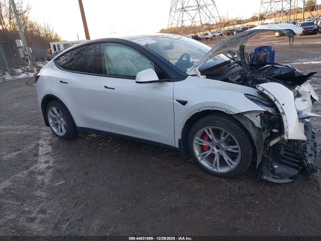 2020 TESLA MODEL Y 5YJYGDEEXLF044247 Photo 0