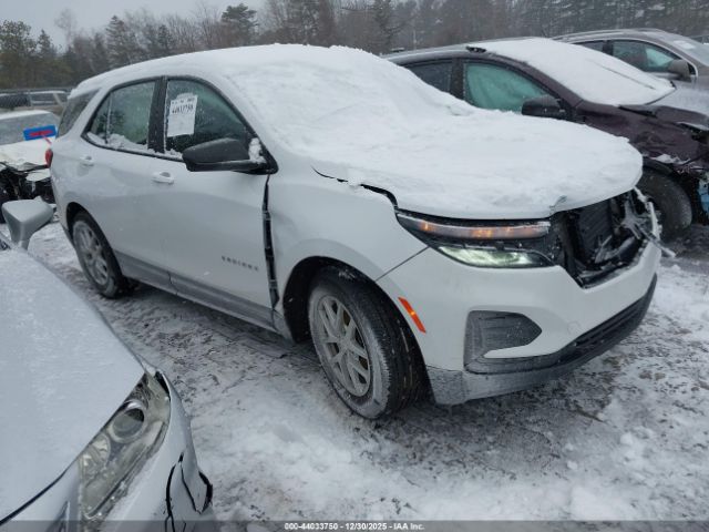 2023 CHEVROLET EQUINOX 3GNAXHEG8PL237148