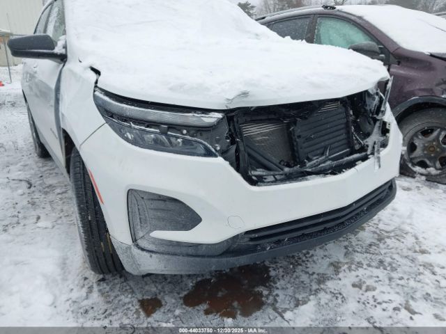 2023 CHEVROLET EQUINOX 3GNAXHEG8PL237148 Photo 5