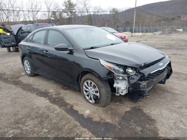2019 KIA FORTE 3KPF24AD4KE079941