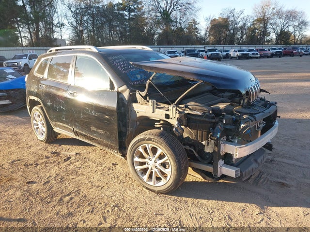 2019 JEEP CHEROKEE 1C4PJLCBXKD419852