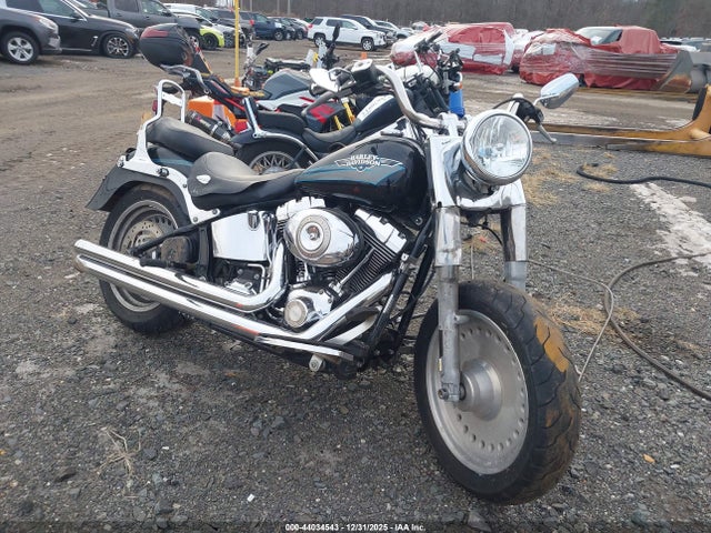 2009 HARLEY-DAVIDSON FLSTF 1HD1BX5169Y049032