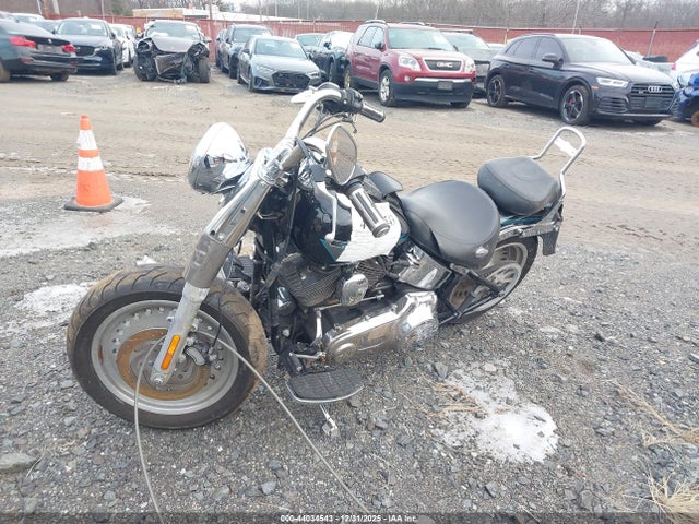 2009 HARLEY-DAVIDSON FLSTF 1HD1BX5169Y049032 Photo 1