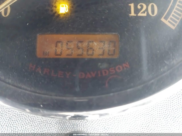 2009 HARLEY-DAVIDSON FLSTF 1HD1BX5169Y049032 Photo 6