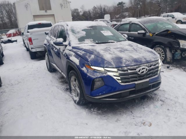 2023 HYUNDAI TUCSON 5NMJBCAE0PH180441