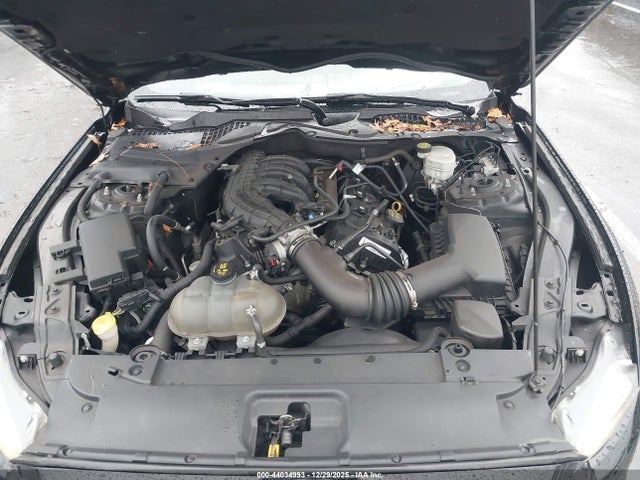 1FA6P8AMXH5273862 Ford Mustang V6