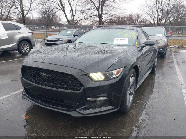 1FA6P8AMXH5273862 Ford Mustang V6