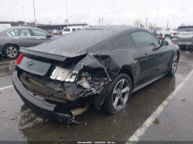 1FA6P8AMXH5273862 Ford Mustang V6