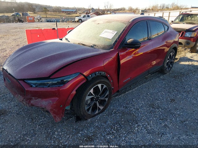 Ford Mustang Mach-e Select 2024 3FMTK1SU2RMA06417 Image 2