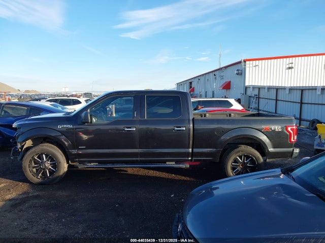 1FTFW1EG8FKD51899 Ford F-150 Xlt