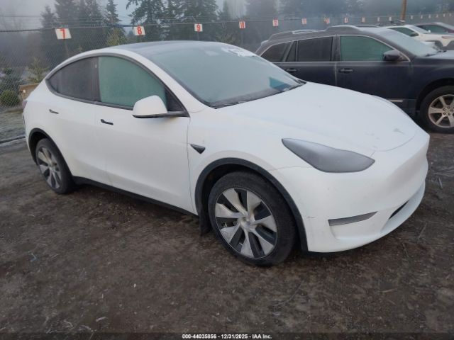 2023 TESLA MODEL Y 7SAYGDEE2PF757281