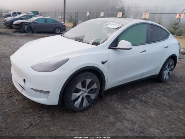 2023 TESLA MODEL Y 7SAYGDEE2PF757281 Photo 1