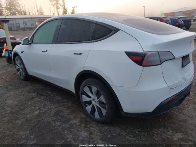 2023 TESLA MODEL Y 7SAYGDEE2PF757281 Photo 2