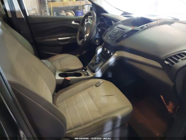 2016 FORD ESCAPE 1FMCU0GX1GUA87667 Photo 4