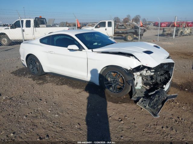 2020 FORD MUSTANG 1FA6P8TH1L5120229