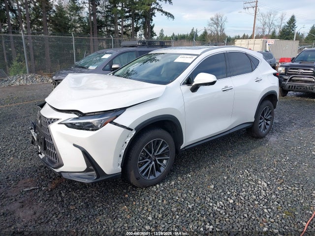 JTJGKCEZ1R5018215 Lexus Nx 350h Premium