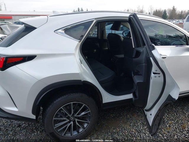 JTJGKCEZ1R5018215 Lexus Nx 350h Premium
