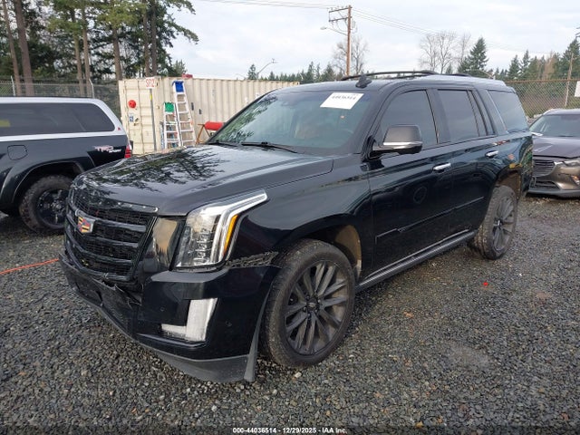 2019 CADILLAC ESCALADE 1GYS4CKJ9KR361448 Photo 1