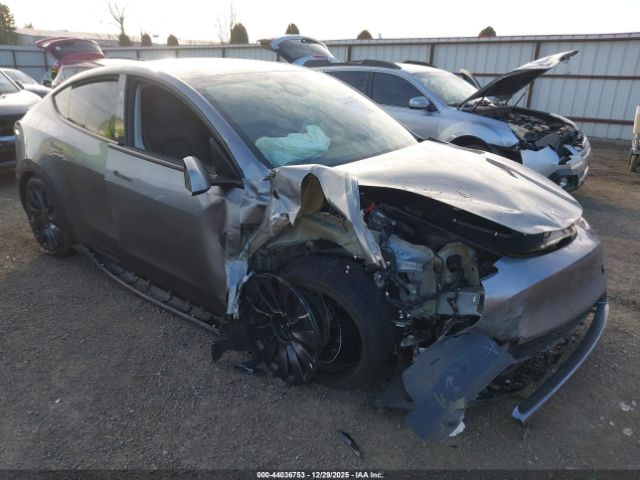 2024 TESLA MODEL Y 7SAYGDEF8RF113814