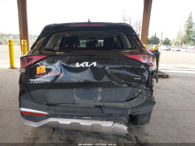 KNDPVCAG8P7040082 KIA Sportage Hybrid Ex