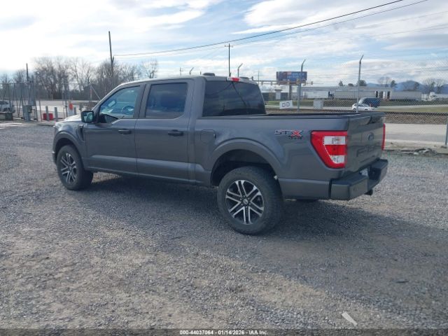 2023 FORD F-150 1FTFW1E59PKE53549 Photo 2