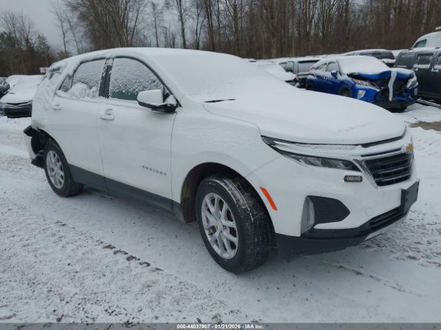 2023 CHEVROLET EQUINOX 3GNAXUEG9PS207381