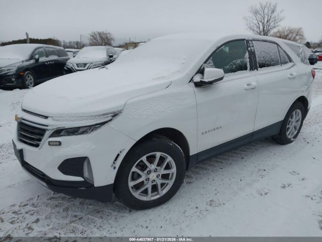 2023 CHEVROLET EQUINOX 3GNAXUEG9PS207381 Photo 1