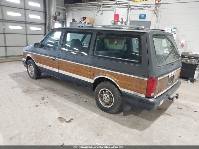 44038599 :رقم المزاد ، 1B4FK54R8LX287039 vin ، 1990 Dodge Grand Caravan Le مزاد بيع