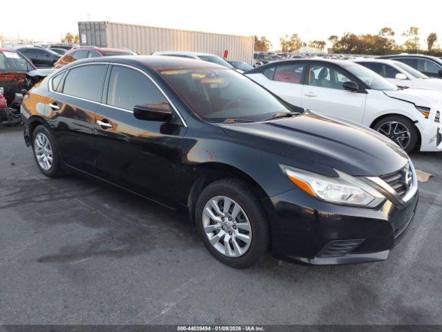 2016 NISSAN ALTIMA 1N4AL3AP7GN343514