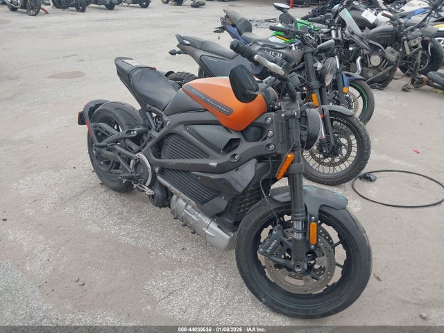 2020 HARLEY-DAVIDSON ELW 1HD2XAEB2LB801623