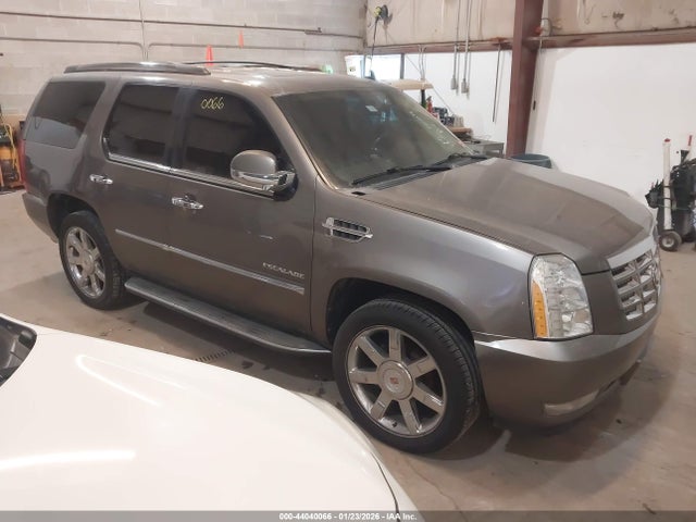 2013 CADILLAC ESCALADE 1GYS3BEF4DR147071