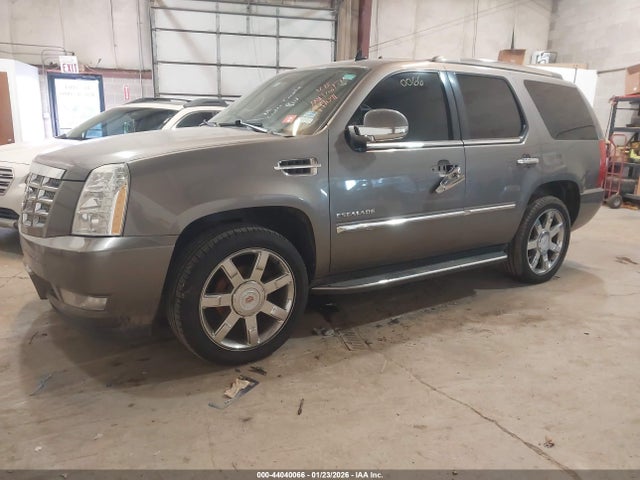 2013 CADILLAC ESCALADE 1GYS3BEF4DR147071 Photo 1